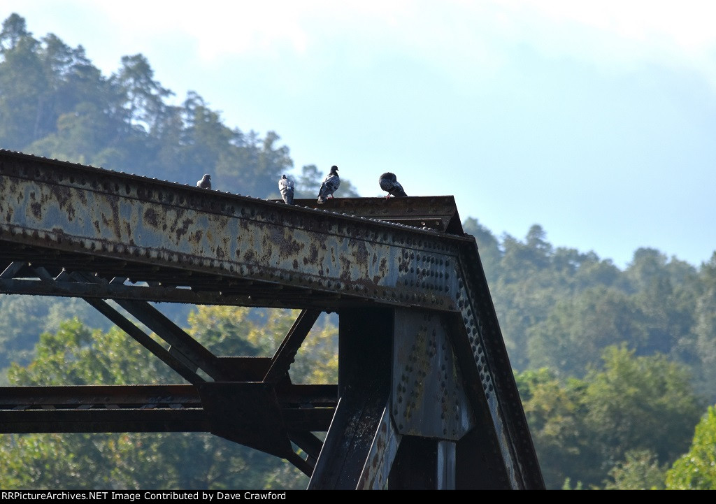 NS Trestle over the James River